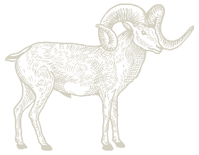 santamaria_GOAT